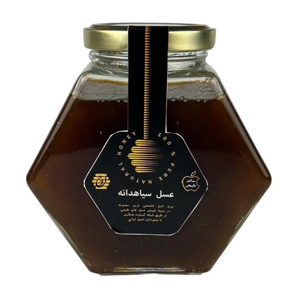 عسل سیاهدانه اوج - 500 گرم - هایپر لایف