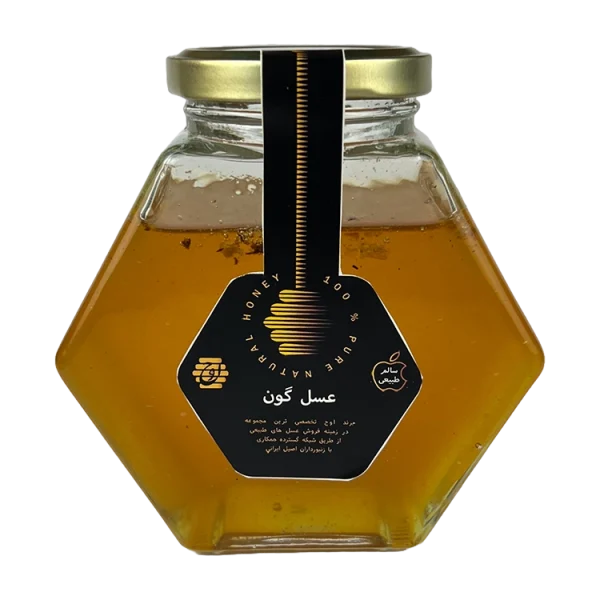 عسل گون اوج - 500 گرم - هایپر لایف